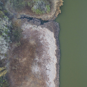 摄影 环境 纹理 天线 美丽的 森林 鸟瞰图 无人机 自然