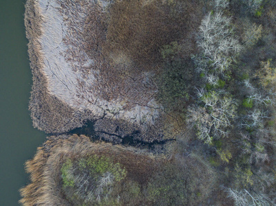 天线 美丽的 鸟瞰图 自然 摄影 风景 环境 森林 颜色