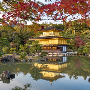 秋日金阁寺，日本京都著名的金阁阁