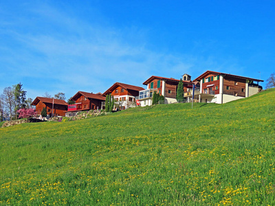 农场 开花 自然 瑞士 土地 夏天 农业 旅行 乡村 牧场