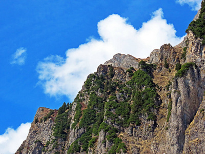 徒步旅行 环境 阿尔卑斯山 攀登 夏天 自然 全景图 冒险