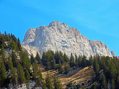 自然 天空 风景 假期 美丽的 阿尔卑斯山 旅游业 瑞士人