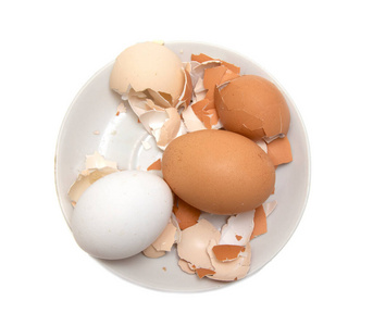 食物 厨房 特写镜头 鸡蛋 复活节 饮食 烹饪 农场 蛋白质