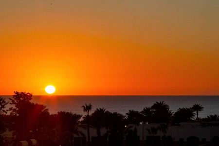 自然 日出 波动 阳光 风景 傍晚 黎明 海滩 海岸 反射