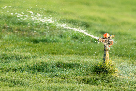 灌溉 洒水器 土地 喷雾 院子 喷雾器 洒水 生长 夏天