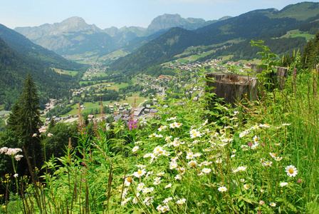 村庄 森林 阿尔卑斯山 自然 法国 假期 首脑会议 环境