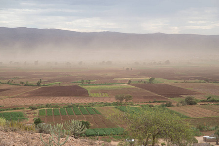 坦桑尼亚巴拉扎尼村干旱的埃亚西湖旁的沙尘暴景观