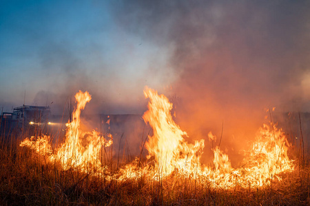 burns dry grass in sky smoke. 