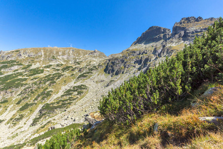 瑞拉 风景 地标 假期 保加利亚 路线 旅游业 旅行 登山