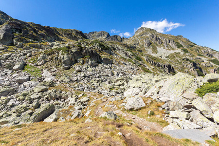 公园 自然 欧洲 小山 环境 森林 徒步旅行 瑞拉 登山