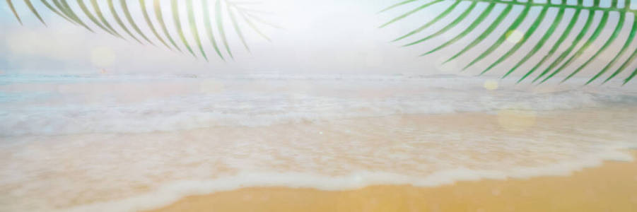 海岸 棕榈 地平线 海湾 假日 步行 椰子 美丽的 阳光
