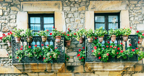 街道 房子 小屋 古老的 建筑学 框架 阳台 窗户 欧洲