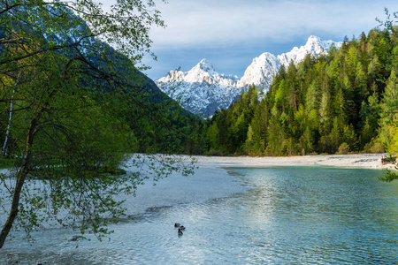 Kranjska Gora的Jasna湖