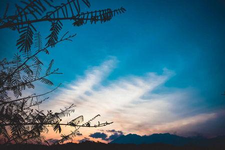 落下 分支 美丽的 场景 秋天 自然 季节 夏天 森林 旅行