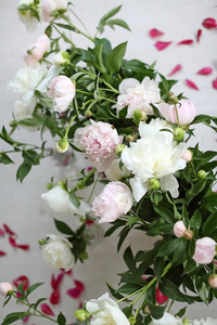 花农 花的 婚礼 玫瑰 生日 园艺 颜色 柔和的 浪漫的