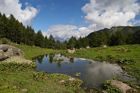 冷杉 旅行 反射 欧洲 意大利 天空 风景 阿尔卑斯山 旅游业