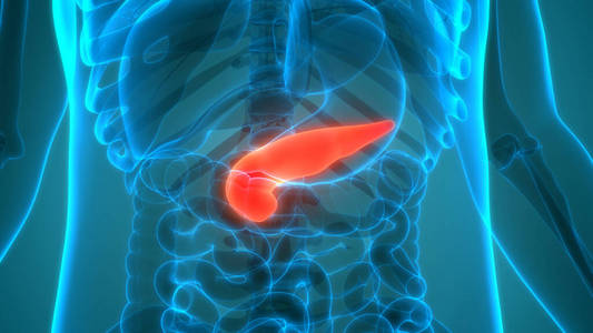 人类 医学 科学 胃肠病学 器官 系统 肝脏 胆囊 疾病