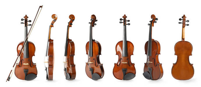 大提琴 古董 艺术 小提琴 收集 音乐家 音乐会 旋律 古典的