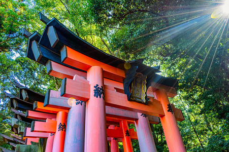 大门 目的地 日本 伊纳里 亚洲 关西 历史 神道教 公园