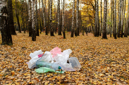 回收 废旧物品 秋天 倾倒 污垢 野餐 废品 垃圾填埋 污染
