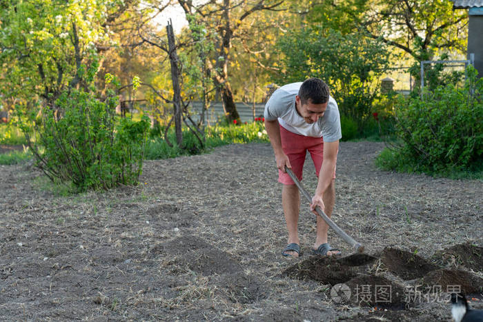 年轻的临时工拿着锄头在土里干活