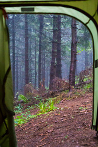 营地 徒步旅行者 娱乐 冒险 旅行者 小山 篝火 徒步旅行