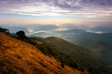 早晨 气候 太阳 薄雾 草地 环境 阳光 傍晚 乡村 夏天