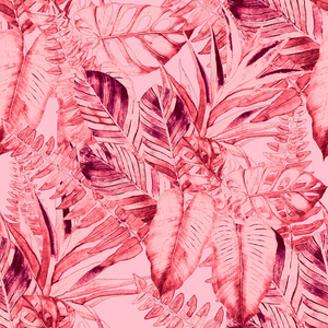 怪兽 油漆 棕榈 丛林 织物 花的 插图 美丽的 夏威夷