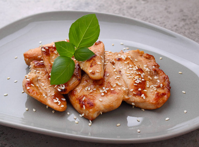 开胃菜 家禽 烹饪 食物 饮食 烧烤 肉片 烤的 美味的