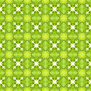 Medallion seamless pattern. Green enchanting boho 