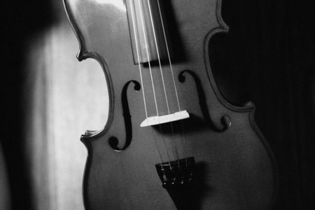 复古的 旋律 艺术 教育 古董 音乐 中提琴 工具 业余爱好