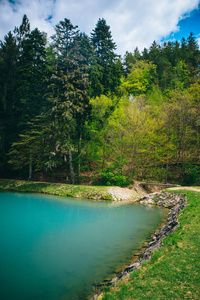 春天 太阳 风景 旅游业 目的地 反射 木材 颜色 自然