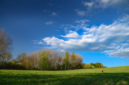 土地 草坪 阳光 地平线 领域 季节 云景 远景 美丽的