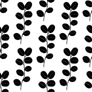 轮廓 自然 树叶 植物学 要素 季节 纹理 墙纸 打印 夏天