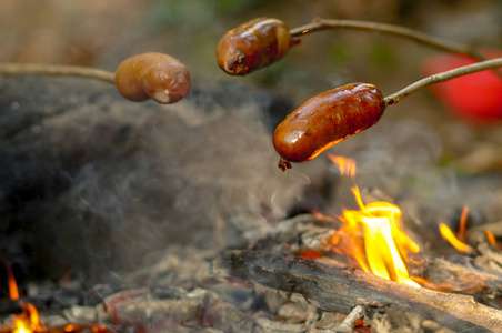 幸存 冬天 烹调 壁炉 享受 朋友 自然 香肠 烧烤 燃烧
