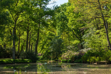 冯德尔帕克图片