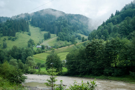 小山 乡村 阿尔卑斯山 天空 木材 欧洲 瑞士 自然 风景