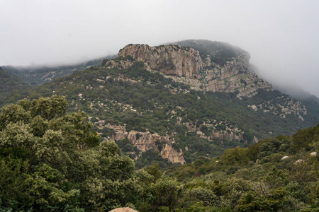 艾因 全景图 小山 领域 夏天 山谷 自然 全景 突尼斯