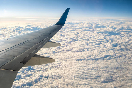 窗口 海洋 高的 飞机 喷气式飞机 地平线 假日 旅行 航空公司