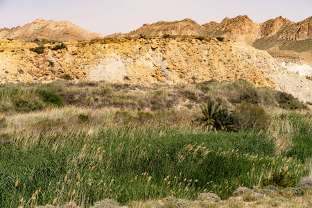 野生动物 夏天 全景图 丘陵 公园 自然 砂岩 风景 突尼斯