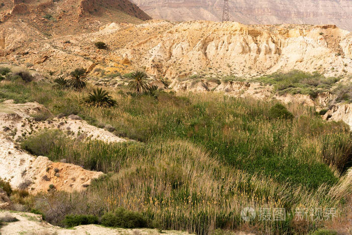 公园 突尼斯 峡谷 野生动物 小山 动物 山谷 天空 岩石