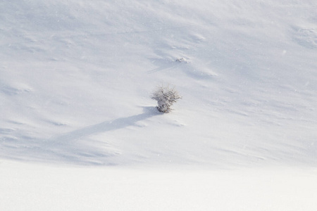 风景 假期 白霜 美丽的 天空 季节 雾凇 气候 暴风雪