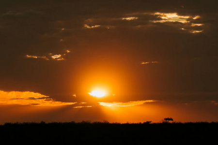 国家的 天堂 非洲 游猎 美丽的 日落 太阳 美女 风景