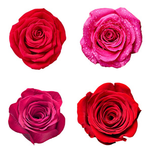 盛开 玫瑰色 收集 花束 植物 春天 花的 情人 特写镜头