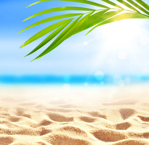 美丽的 纹理 天堂 棕榈 夏天 旅游业 海滩 美女 海景
