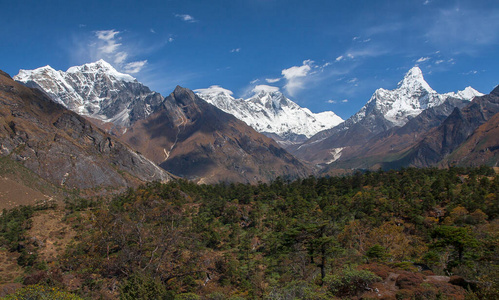 亚洲 地区 冒险 木材 喜马拉雅山 和谐 风景 秋天 放松