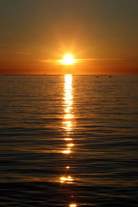 亚得里亚海 自然 日落 风景 夏天 海洋 天空 阳光 海景