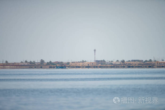 突尼斯 群岛 岛屿 海岸 旅游业 旅行 灌溉 海滩 鹿蹄草