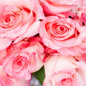 情人 生日 礼物 庆祝 粉红色 假日 夏天 花的 颜色 浪漫