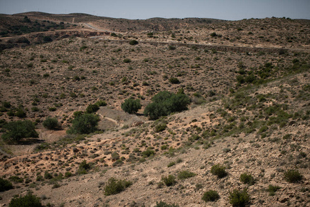 沙漠 绿洲 国家的 棕榈 岩石 公司 撒哈拉 南方 摩洛哥
